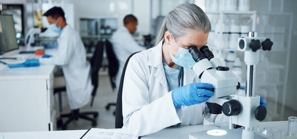 Senior woman, research and lab microscope for info and work for medical analysis. Scientist, investigation and laboratory expert with covid and healthcare report for virus monitoring and data.