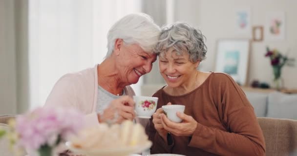 Feliz Relaxar Chá Com Amigos Seniores Sala Estar Para Apoio — Vídeo de Stock