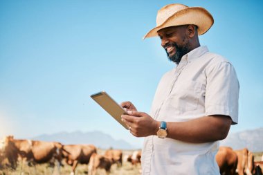 Mutlu siyah adam, tablet ve tarım, çiftçilik ya da kırsalda sürdürülebilirlik alanlarında hayvanlar. Afrikalı erkek insan teknolojiye canlı stoklarla, ineklerle veya sığırlarla gülümsüyor..