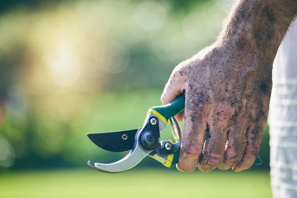 Gardening Shears Hands Man Nature Agriculture Farming Planting Flowers Sustainability — Stock Photo, Image