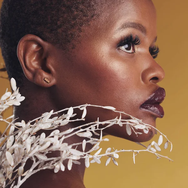 スタジオのバックグラウンドで隔離されたプロフィール メイク 天然化粧品ケアの黒人女性 花と美しさ アフリカのモデル思考 植物と持続可能なスキンケア ラッシュと輝き — ストック写真
