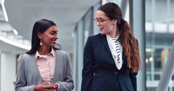 Caminhada Falando Mulheres Negócios Escritório Planejamento Projeto Corporativo Estratégia Trabalho — Vídeo de Stock