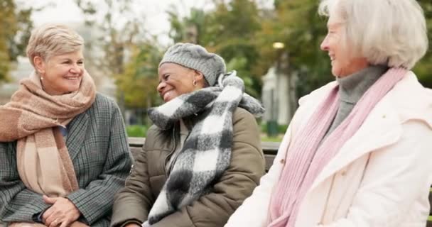 シニア そして退職 健康のために公園のベンチで友人とリラックスしてください 高齢者 高齢の女性との社会は 庭のために自然の中で笑います — ストック動画
