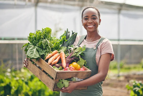 Woman, farmer and vegetables in greenhouse for agriculture, agro business and growth or product in box. Portrait of African worker with harvest, gardening and food, carrot or lettuce in basket.