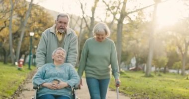 Park, grup ve yaşlılar temiz hava, egzersiz ya da sağlık için birlikte yürüyorlar. Konuşma, sağlık ve emeklilikteki yaşlılar tekerlekli sandalye ve koltuk değnekleriyle açık bir bahçede.