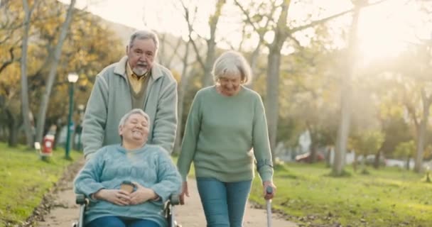 Парк Группа Пожилые Друзья Прогулке Свежем Воздухе Физические Упражнения Оздоровительный — стоковое видео
