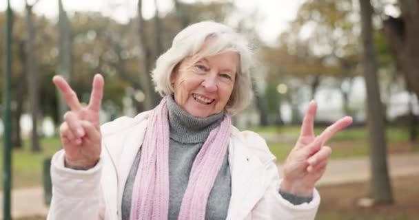 Мир Рука Лицо Пожилой Женщины Парке Счастливые Хорошее Настроение Положительные — стоковое видео