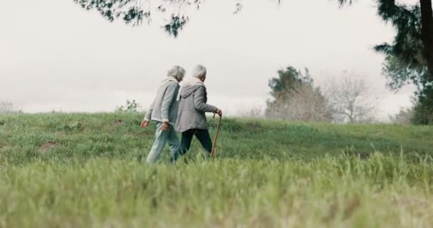 朋友和老年妇女与步行棒放松或质量时间与环境中的远足 退休和老年女性在大自然中共同寻求关爱和支持 — 图库视频影像
