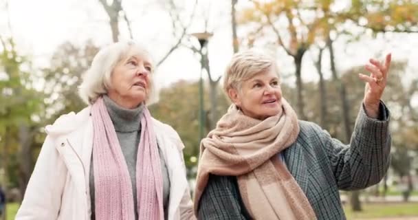 Starszy Przyjaciele Kobiety Parku Więzi Spacery Cieszyć Rozmowy Świeżym Powietrzu — Wideo stockowe