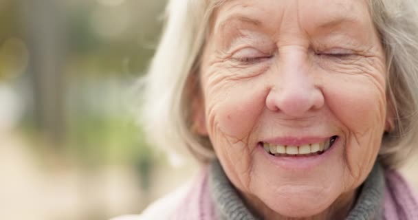 Szczęśliwy Portret Starsza Kobieta Parku Zewnątrz Las Lub Spacer Przyrodzie — Wideo stockowe