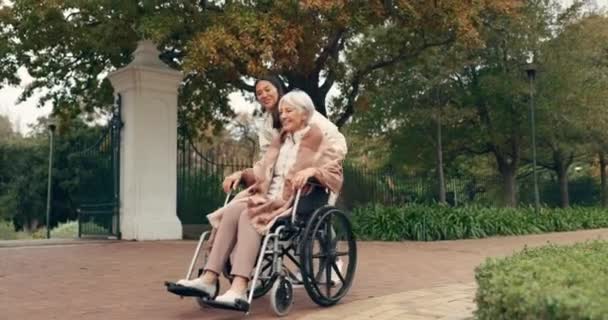 Mulher Sênior Cadeira Rodas Cuidador Parque Natureza Jardim Livre Juntos — Vídeo de Stock