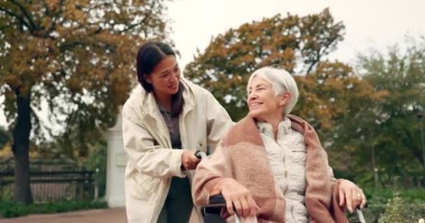 Mulher Idosa Cadeira Rodas Enfermeira Parque Natureza Jardim Livre Happy — Vídeo de Stock