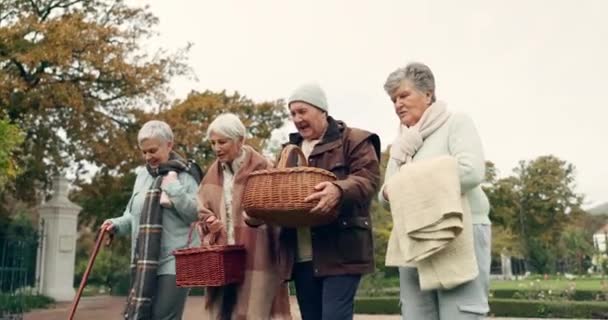Wandelen Picknicken Senior Vrienden Het Park Samen Voor Hechting Gesprek — Stockvideo