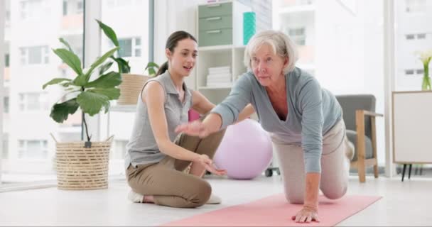 診療所で健康や回復のための運動をしている身体療法 ヘルスケア シニア女性 リハビリテーションセンターの高齢女性患者を支援する医療 ストレッチおよび理学療法士 — ストック動画