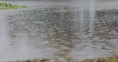 Gölet, yol ya da yağmur, kış boyunca doğal bir çevre manzarası olan bir gölde. Açık hava, doğa ve nehir, su baskını, kötü hava ve deniz manzaralı sokak veya okyanus..