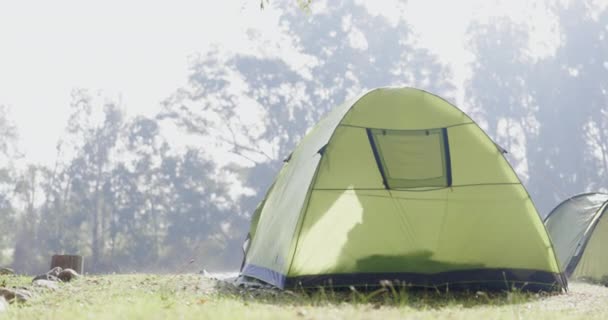 Natuur Mist Tent Voor Kamperen Vakantie Het Bos Ochtendmist Tijdens — Stockvideo