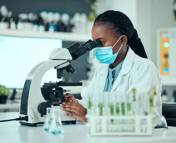 显微镜 药物和女科学家 带着面具 在实验室进行病毒分析 从事生物技术设备医学研究的专业 科学和非洲女研究人员 — 图库照片