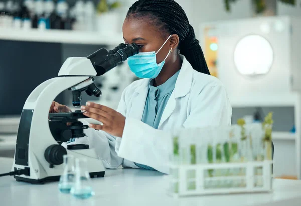 Mikroskop Czarna Kobieta Roślina Laboratoryjna Badania Naukowe Analiza Naturalnych Leków — Zdjęcie stockowe