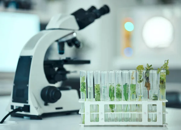 Badania Roślin Probówek Badań Laboratoryjnych Nad Biotechnologią Produktami Farmaceutycznymi Lub — Zdjęcie stockowe