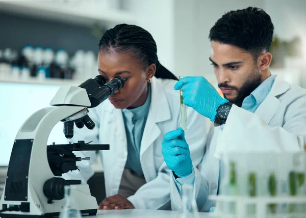 Science Team Test Tube Plant Microscope Analysis Natural Product Biotechnology — Stock Photo, Image