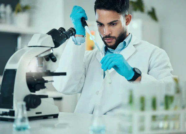 Science, results and man with test tube in laboratory, research and medical engineering at microscope. Biotechnology, pharmaceutical and study, scientist or lab technician checking solution in glass
