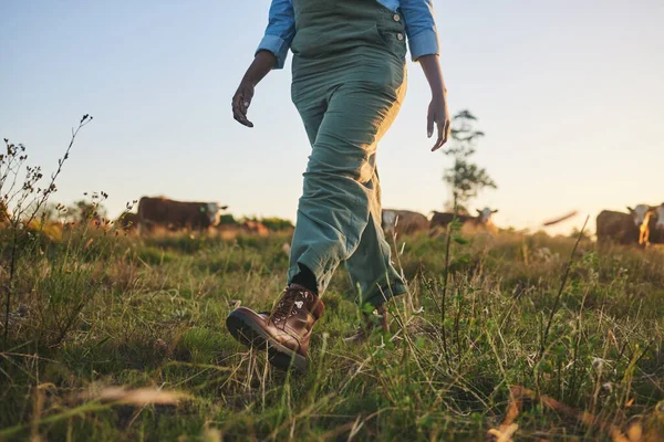 Ноги Трава Фермер Прогуливаются Полю Животноводческой Фермы Устойчивого Сельского Хозяйства — стоковое фото