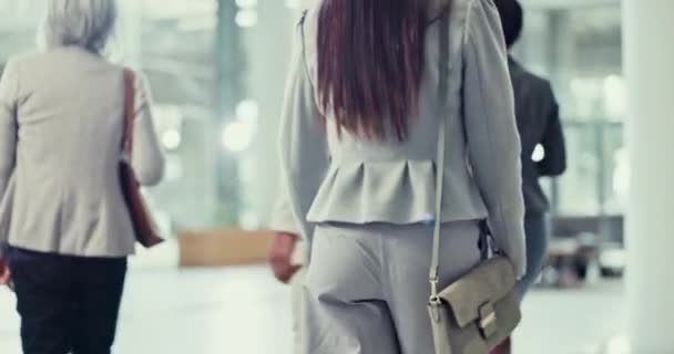 Geschäftsfrau Reise Und Corporate Back Walking Einer Flughafenlobby Für Die — Stockvideo