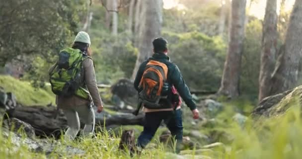 Caminhadas Volta Casal Livre Caminho Florestal Para Exercícios Exercícios Aventuras — Vídeo de Stock