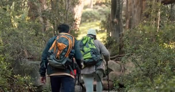 カップル ハイキング 森林での散歩 フィットネス アクティブな人々の背中と自然公園での旅 森でのバックパッキング エクササイズ トレッキング — ストック動画