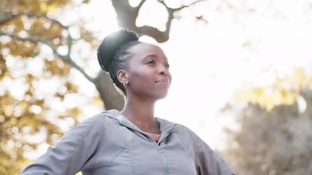 Mujer Negra Respiración Naturaleza Con Ejercicio Meditación Aire Libre Paz — Vídeos de Stock