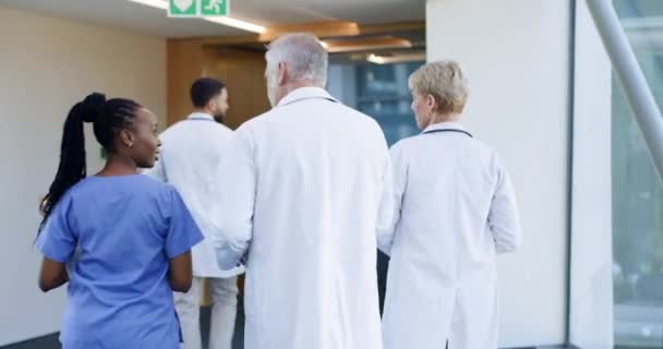 Rygg Sjukvård Och Läkare Som Promenerar Sjukhus För Samtal Lagarbete — Stockvideo