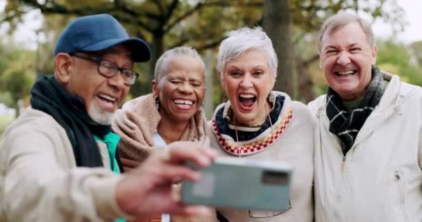 Selfie Glücklich Und Gruppe Von Senioren Freunden Einem Park Oder — Stockvideo