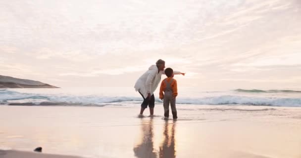 Мать Ребенок Указание Закат Пляж Обучение Ребенка Океане Море Вода — стоковое видео