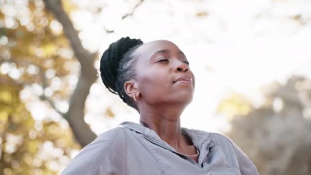 Femme Noire Respiration Nature Avec Fitness Méditation Plein Air Paix — Video