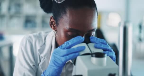 Черная Женщина Ученый Микроскоп Анализ Лаборатории Медицинскими Исследованиями Проверка Образца — стоковое видео