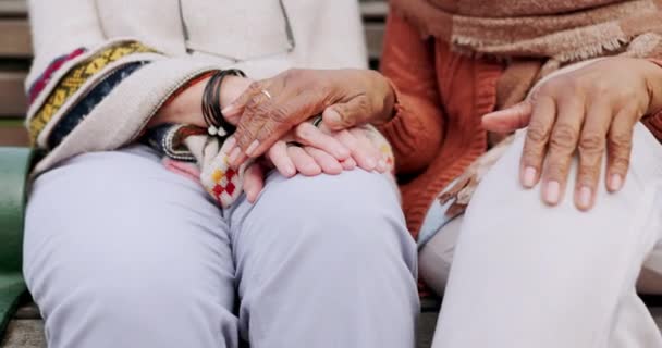 Starsi Przyjaciele Pielęgnacja Parku Trzymanie Się Ręce Wsparciem Komfortem Nadzieją — Wideo stockowe