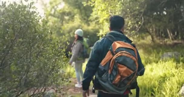远足和夫妇一起在森林中散步 以获得放松 健康和冒险 男人和女人一起在大自然中散步 远足和露营时的爱 平静和健康 — 图库视频影像