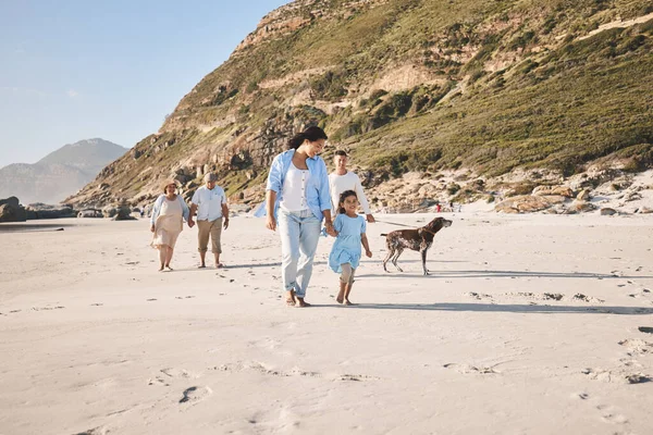 Familia Paseos Aire Libre Con Perro Playa Verano Por Diversión —  Fotos de Stock
