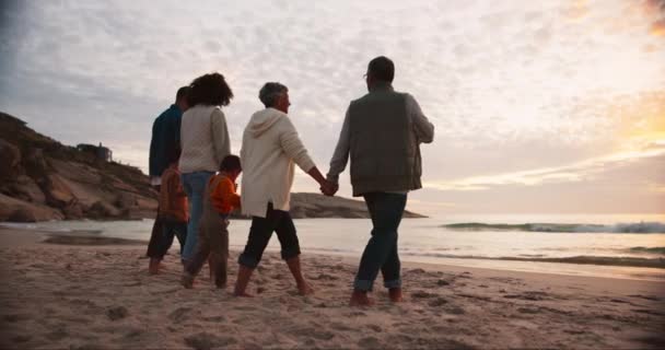 Happy Berpegangan Tangan Dan Bersantai Dengan Keluarga Besar Pantai Untuk — Stok Video