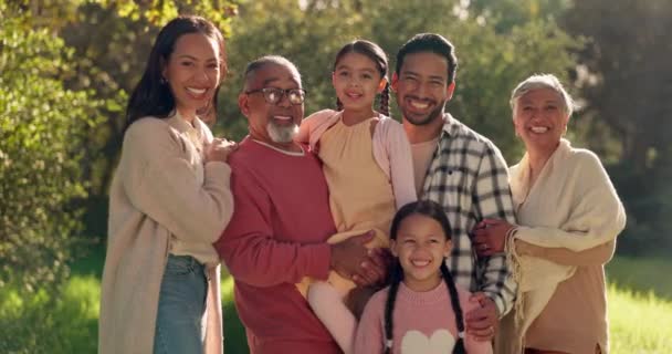 Happy Big Family Natuur Gezelligheid Het Park Voor Quality Time — Stockvideo
