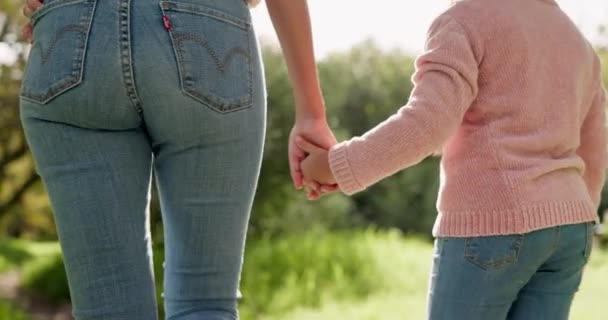 Família Mãos Dadas Caminhando Livre Parque Com Confiança Amor Cuidado — Vídeo de Stock