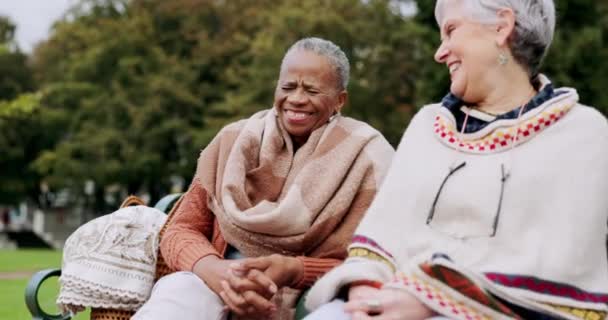 Starsze Kobiety Ławce Parku Śmiechem Uśmiechem Zabawnym Odkrytym Odpoczynkiem Ogrodzie — Wideo stockowe