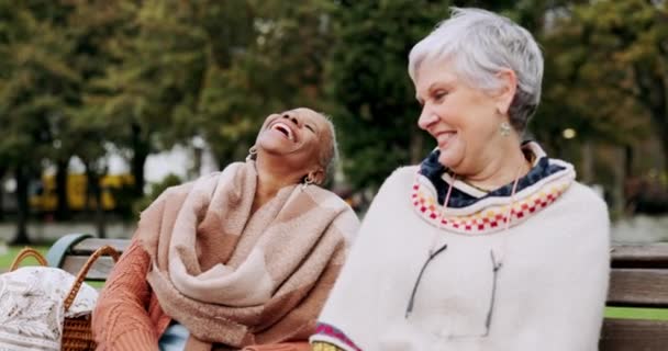 老年妇女在公园的长椅上与人交谈 朋友们欢笑 户外在花园里悠闲自在地过着美好的时光 友谊和退休 老年人在大自然中为了自由和欢乐而团结在一起 — 图库视频影像