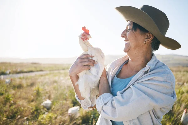 Farmer, senior woman and agriculture, chicken and field with sustainability and livestock. Poultry farm, agro business and free range, countryside and environment with nature and happy with animal.