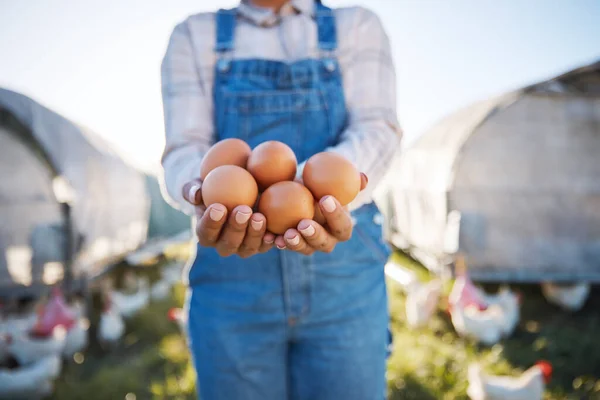 Mujer Con Huevos Las Manos Granja Pollos Hierba Bajo Sol —  Fotos de Stock