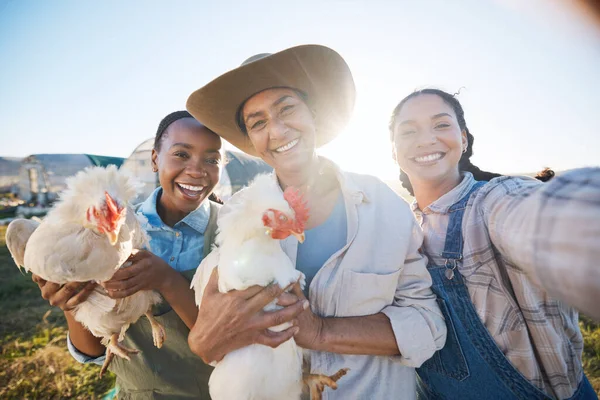 Šťastný Selfie Nebo Farmáři Farmě Kuřaty Nebo Poli Sklízející Drůbeží — Stock fotografie
