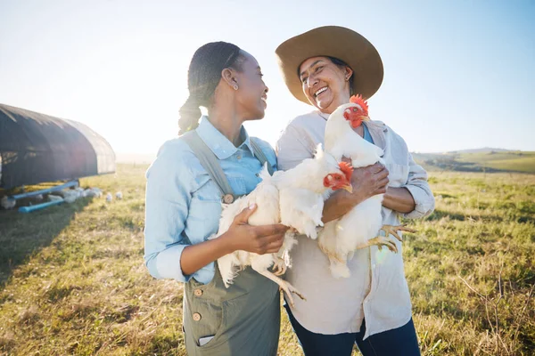 Šťastný Tým Žen Kuřat Farmě Zemědělství Produkci Ptáků Nebo Masa — Stock fotografie
