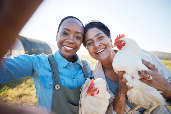 Smile, selfie or farmers on farm with chickens on field harvesting poultry livestock in small business. Social media, happy or portrait of women with animal or hen to take a photo for farming memory.