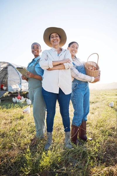 Vejce Ženy Spolupráce Farmě Technologií Pro Inspekci Kontrolu Kvality Zemědělství — Stock fotografie