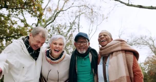 Happy Portrait Group Senior Friends Outdoor Park Together Bonding Celebration — Stock Video